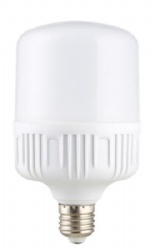 LED Bulb