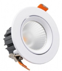 COB Ceiling light (adjustable head)