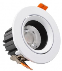 COB Ceiling light (adjustable head)