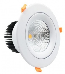 COB Ceiling light (adjustable head)