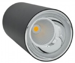 COB Downlight